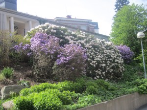 Sahlgrenska Universitetssykehus