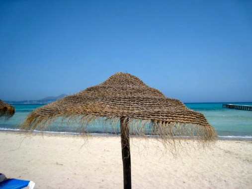 27977_421873261030_6815238_n